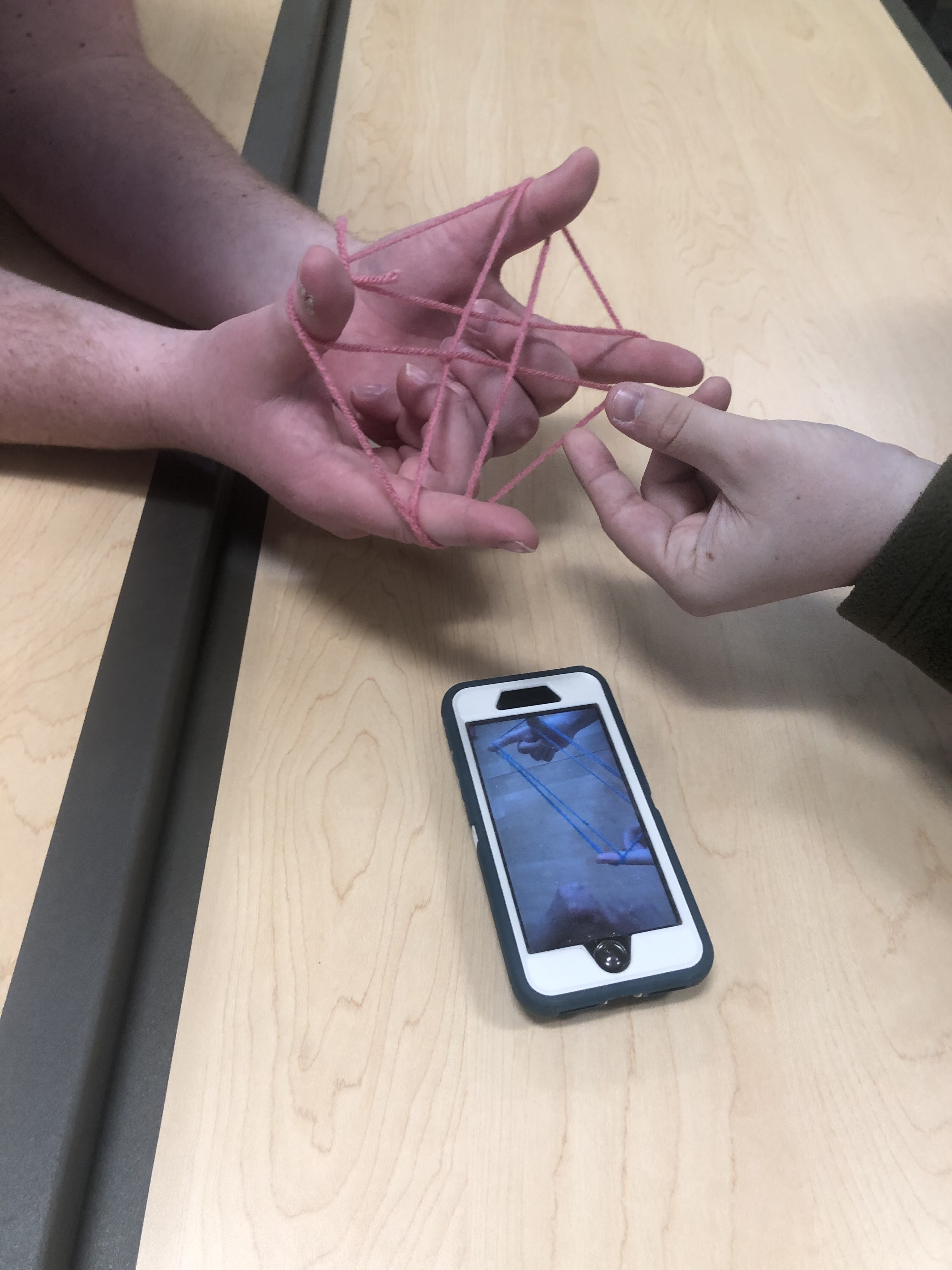 Haraway cats cradle