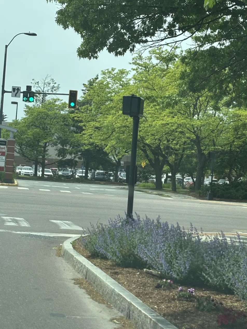 Crosswalk sensor